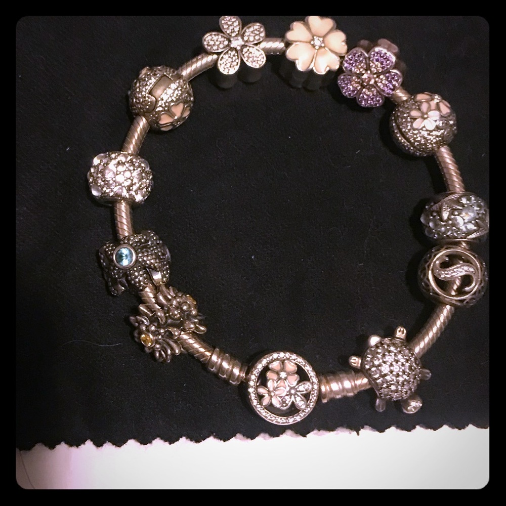 Pandora charm bracelet